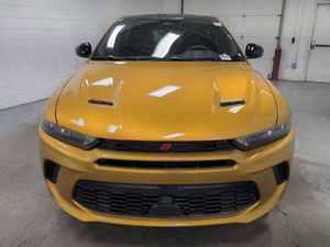 Limpiar perfectamente 2024 D o D GE H o R n e t R/T Plus - Product Image 4