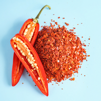TOP PRODUCT 2023 !! FOOD COLORING RED DRIED CHILI FLAKES HOT SPICY FLAKES WITH WHOLESALE PRICE FROM VIETNAM