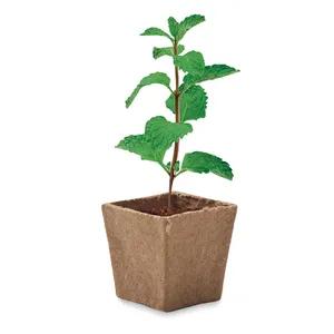 Kit promotionnel écologique pour la culture de la menthe destiné aux jardiniers et aux propriétaires - Product Image 5