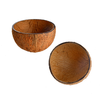 Ensemble de vaisselle en coquille de noix de coco naturelle et écologique - Bols ronds non polis pour fruits, desserts et usage domestique moderne
