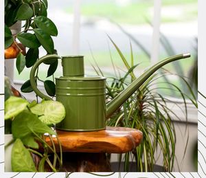 Riego de Metal verde decorativo para plantas de interior y exterior, riego de flores para jardín y casa, venta al por mayor, 2023 - Product Image 2