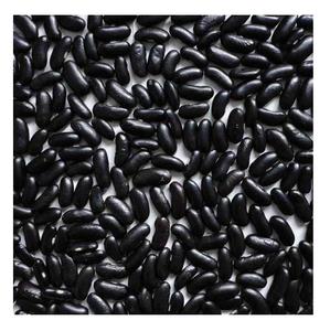 2025 frijoles negros de frijol negro orgánico precio - Product Image 5