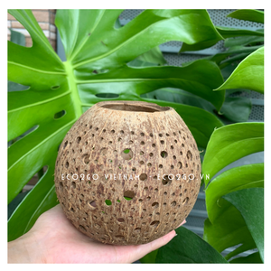 2025 Hot New Coconut Tealight/Portavelas de Eco2go Vietnam para ocasiones navideñas - Product Image 2