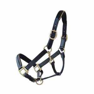 Licol de cheval en sangle en nylon de qualité supérieure avec rembourrage en polaire douce Collier équestre réglable durable pour l'équitation et l'entraînement - Product Image 5