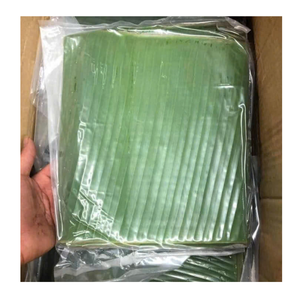 Feuille de banane congelée de couleur verte fraîche parfaite pour les solutions naturelles d'emballage des aliments - Product Image 6
