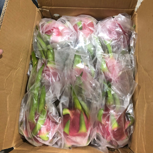 Premium verse Vietnamese drakenvrucht - wit-rood vlees 100% puur zoete smaak Kim Minh International natuurlijke houdbaarheid export