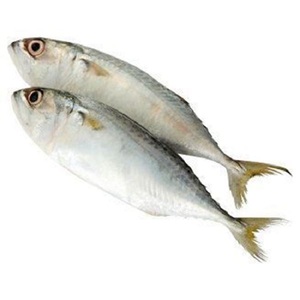 FRESH CONGELADO PACÍFICO MAKEREL PESCADO-GRADO A + ENVASADO AL VACÍO BAJO EN SODIO EXPORTACIÓN AL POR MAYOR - Product Image 5