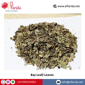 Top bán duy nhất gia vị chất lượng tuyệt vời khô bay <span class=keywords><strong>Laura</strong></span> lá/bay lá Ai Cập lành mạnh nguyên liệu chế biến giá thấp - Product Image 4