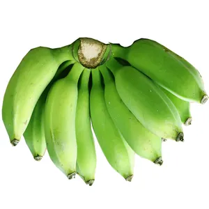 新鲜香蕉高品质绿色热带风格有机颜色原产地类型各种香蕉甜味香蕉
