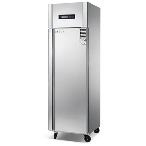 Kommerzieller Kühlschrank Küche Kühlschrank aufrechter Gefrierschrank Edelstahl gefriere Gefrierschränke Küche guter Preis aufrechter Kühlschrank