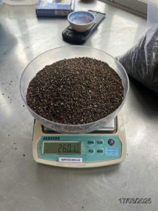 [Phalco] Pimienta Negra de Todos los Grados, Pimienta de Vietnam al por Mayor, Alta Calidad, 500 G/L 550 G/L, Origen Dak Lak, 24 Meses de Caducidad - Product Image 5