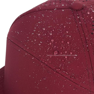 Rendimiento personalizado Sombreros en blanco Resistente al agua Agujero perforado Gorra transpirable Snapback Ala plana 7 Panel Golf Sombrero Diseño Logo Cap - Product Image 2