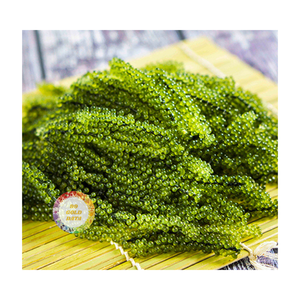 RAISINS DE MER SÉCHÉS DE QUALITÉ D'EXPORTATION PREMIUM NATUREL DE HAUTE QUALITÉ ET SUPER DÉLICIEUX IDÉAL POUR L'EXPORTATION - Product Image 4