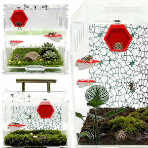 Set di 5 Pezzi Creativi Magnetici a Forma di Casa a Fungo Rossa per Terrario di Ragni Saltatori e Accessori per Piccoli Rettili - Product Image 5
