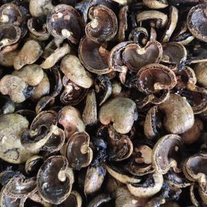 Cáscaras de anacardos de primera calidad a granel, suministro al por mayor de productos naturales para la extracción de aceite, mejor oferta - Product Image 1