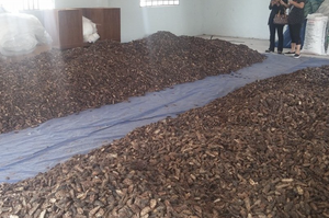 ส่วนผสมตากแห้งผลไม้โนนิธรรมชาติจากเวียดนามสำหรับการผลิตน้ำผลไม้และการทำอาหาร - Product Image 5