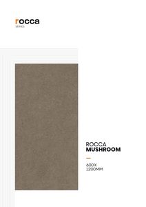 Curated Interiors Racta Bricks 1x2.7M Carreaux de mosaïque en céramique vitrifiée Full body brillant mat pour les allées de jardin Murs composés - Product Image 3