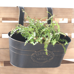 Maceta Colgante de Metal Vintage para Jardín, Valla, Decoración de Balcón, Venta al por Mayor y Menor - Product Image 3