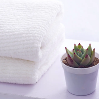 Vente en gros Prix compétitif Mini pots de plantes Pots de plantes ronds personnalisés depuis Vietnam Fabricant