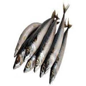 Oferta de Pescado Congelado: Caballa Entera a Precios Bajos - Product Image 5