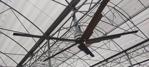 Cowair HVLS Smart Fan 500 Ventilador de techo de gran diámetro para granjas de animales - Product Image 3