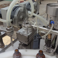 Máquina de Llenado y Tapado para Fábrica de Botellas, Equipo de Línea de Empaquetado, Etiquetado y Tapado de Sobremesa Personalizado por el Fabricante