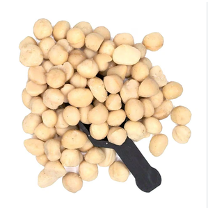 Nueces de Macadamia orgánicas Alta nutrición Superalimento tropical crudo Fresco y saludable Disponible ahora Envío rápido - Product Image 1