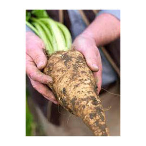 Azúcar de remolacha Icumsa 45 de alta calidad al por mayor de alto fabricante nuevo mejor material con tarifa barata - Product Image 1