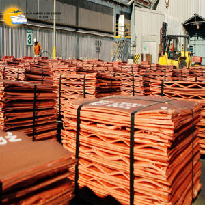 Placa de lámina de cátodo de cobre de 5mm y 6mm de alta pureza Venta de minas de Congo Zambia Precio razonable con servicio de corte - Product Image 2