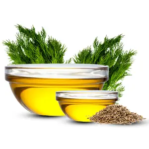 Fornitura all'ingrosso di olio di semi di aneto naturale puro al 100% con certificato MSDS produttore di olio essenziale biologico sfuso