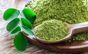 2025 Top produit en vrac fournisseur en gros de poudre de feuille de Moringa naturelle riche en protéines et en vitamines pour la santé exportateur indien - Product Image 5