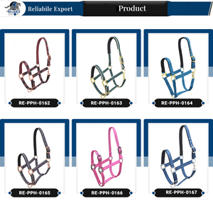 Meilleur prix de gros Cheval PP Halters Équipement confortable et solide du fabricant indien - Product Image 5