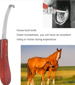 Cuchillo para Pezuñas de Acero Inoxidable de Una Sola Hoja, Estándar Internacional de Alta Calidad, con Mango de Madera, Seguro y Ajustable - Product Image 2