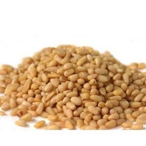 Piñones de alta calidad a buen precio de fábrica de China - Product Image 2