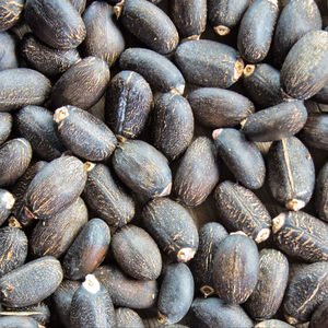 เมล็ดจัตราฟฟาแห้งคุณภาพสูงจากธรรมชาติสำหรับขาย - Product Image 1