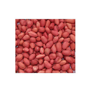 Livraison rapide, cacahuètes en gros, approvisionnement en vrac, prix bas, qualité supérieure - Product Image 6