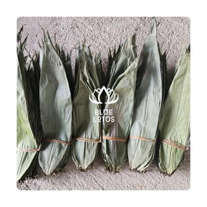 HOJAS DE BAMBÚ SECAS NATURALES VIETNAM CALIDAD EXPORTADA HACIENDO DECORACIÓN DE ROLLO DE ENVOLTURA DE LOTO AZUL MS AMELIA + 84855014447 - Product Image 1