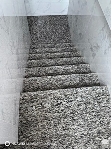 <span class=keywords><strong>Escaleras</strong></span> de Granito con Diseño de Ondas Marinas Personalizadas, Antideslizantes, Populares para Interiores y Exteriores - Product Image 1