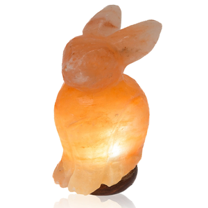 Lampe au sel rose de l'Himalaya en forme d'animal exquise faite à la main Vente en gros directe d'usine pour les amoureux des animaux Artisanat naturel - Product Image 4