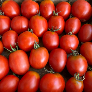 Fresh Red Tomatoes Original Pure Red Cherry Tomato High Export Quality Bulk Supplies - Product Image 4