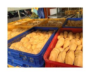 Durian congelado de grado de exportación, alimentos especiales tropicales-Suministro de pulpa de Durian congelado IQF adecuado para la industria minorista y de postres - Product Image 5