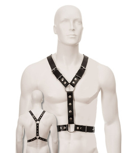 Y Chest <b>Harness</b> - Product Image 1