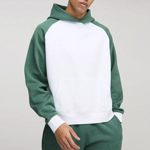 Sweat à capuche court personnalisé pour hommes coupe normale pull hiver logo personnalisé 100% sweats à capuche en molleton de coton - Product Image 3