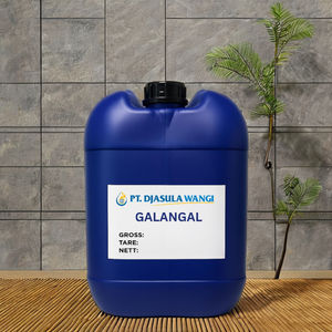 Huile de Galangal Pure à 100% en Vrac (25kg) pour Diffuseur, Parfum et Cheveux – Parfum Chaud et Épicé – Marque Privée OEM/ODM - Product Image 2