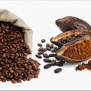 เมล็ดกาแฟโรบัสต้าคั่วจากเวียดนามเมล็ดกาแฟสะอาดขายส่งกาแฟสีเขียวพรีเมี่ยม - Product Image 6