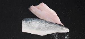 Frozen Hubbsi Hake Whole Round HGT Fillet IQF White <b>Fish</b> Argentina Supplier - Product Image 1