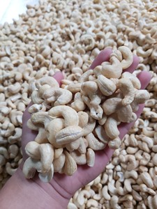 WW320 WW240 WW180 Anacardos crudos de grado fresco Bolsa de vacío Caja de lata Embalaje Industria alimentaria Producto de Vietnam/ ANNA DO - Product Image 3