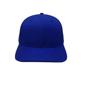 Casquette Snapback Structurée Personnalisée avec Logo Brodé en 3D, Fermeture à Sangle en Plastique Réglable, Vêtements de Sport de Haute Performance - Product Image 1