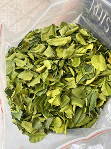 Hoja de lima de calidad de exportación, ingrediente de fábrica vietnamita, ofrecida con ventaja de precio de fábrica para distribuidores e importadores globales - Product Image 2