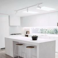Bande LED intelligente avec commande vocale, éclairage linéaire moderne de haute qualité à focalisation réglable pour les stades sportifs